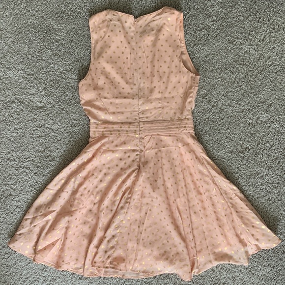 Light Blush with Gold Polka Dot Dress - Picture 3 of 4